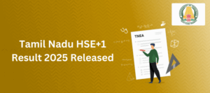 Tamil Nadu HSE+1 Result 2025 Released